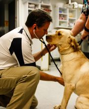 Hiram Animal Hospital image 2