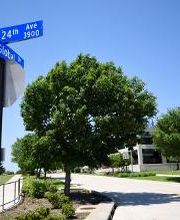 Avis Car Rental image 5