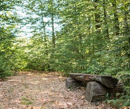 Immer wieder laden Bänke im FriedWald Wildenburger Land zum Verweilen und stillen Gedenken ein.
