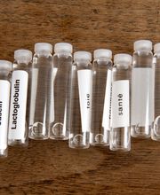 Canty Sandra image 6