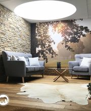 Collaud & Criblet SA Bild 1