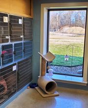 Northgate Animal Hospital image 18