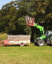 Holzbär Keller Brennholz Bild 4