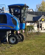 DOMAINE DE L'ÉTÉ ET CHATEAU DES ROCHETTES SCEA CATHERINE NOLOT image 2