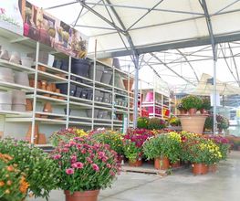 Point Vert Le Jardin image 4
