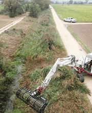 Mammutholzerei GmbH Bild 9