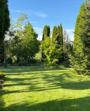 Kummer Gartenbau - Pflanzenoase Bild 7