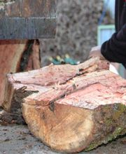 Leñas Julio imagen 2