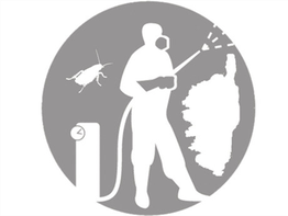 Corse insectes