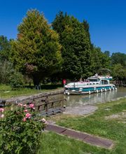 Nicols Le Somail image 1