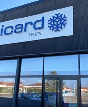 Picard image 1