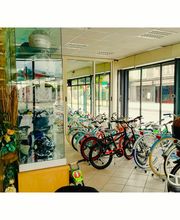 Gallery Cliente