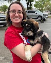 Parks Jones Realty image 11