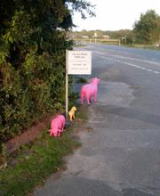 Rosemarie Hofmann Hypnose Praxis Bild 3