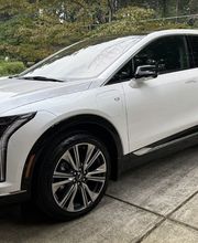 Wren's Collision of Kennesaw image 2