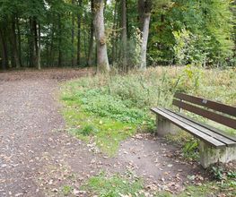 FriedWald Gronenburg Bild 11