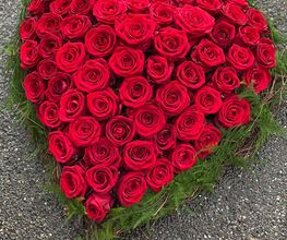 Blumen Faes Bild 2
