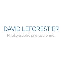 Leforestier David