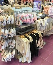 Orchestra LES HERBIERS image 5