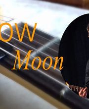 Yellow Moon Duo image 12