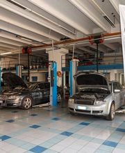 Gallery Cliente
