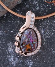 Niederer Pierre-James Bild 12