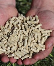 Grastrocknungs-Genossenschaft Märstetten und Umgebung Bild 4