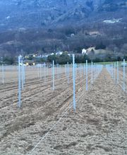 Agrotomato SA Bild 5