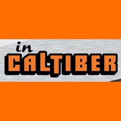 In Caltiber Srl logo