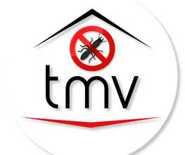 TMV image 4
