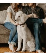 Rogers Group Property Management image 3