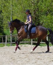 Centre Equestre De La Guérinière image 9