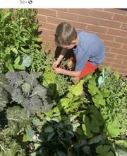 Alma Flor Ada Spanish Immersion Early Learning Academy image 1