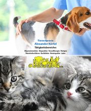 Tierarztpraxis Alexander Körtel Bild 1