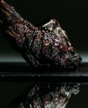 Starfish Atlantic Grill imagen 18