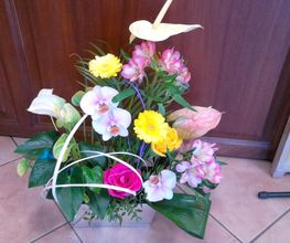 AU FLEURISIER image 14