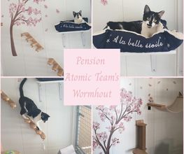 Pension Atomic Team's image 13