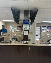 Western Dental & Orthodontics image 9