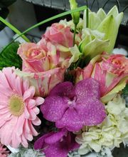 Fleur D'O image 5