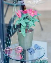 Ottica Agri Federico immagine 11