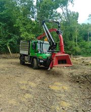 Sempervirens image 10