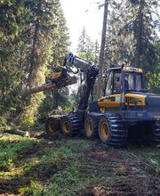 Entreprise forestière Daniel Ruch SA Bild 3