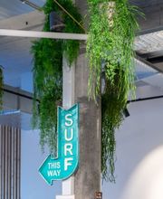 Widler Gartenbau + Floristik AG Bild 12