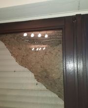 Christian Schneider Schädlingsbekämpfung Bild 1