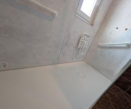 Ent Chapuis image 12