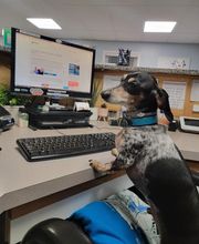 Staunton River Veterinary Clinic image 11