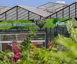 Pflanzenhof Plum Bild 3
