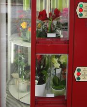 Gärtnerei Mohring Bild 2