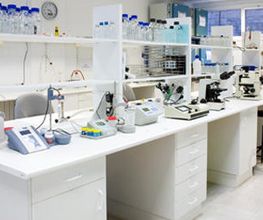 laboratorio-01.jpg