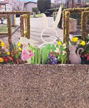 Harmonie Florale image 2